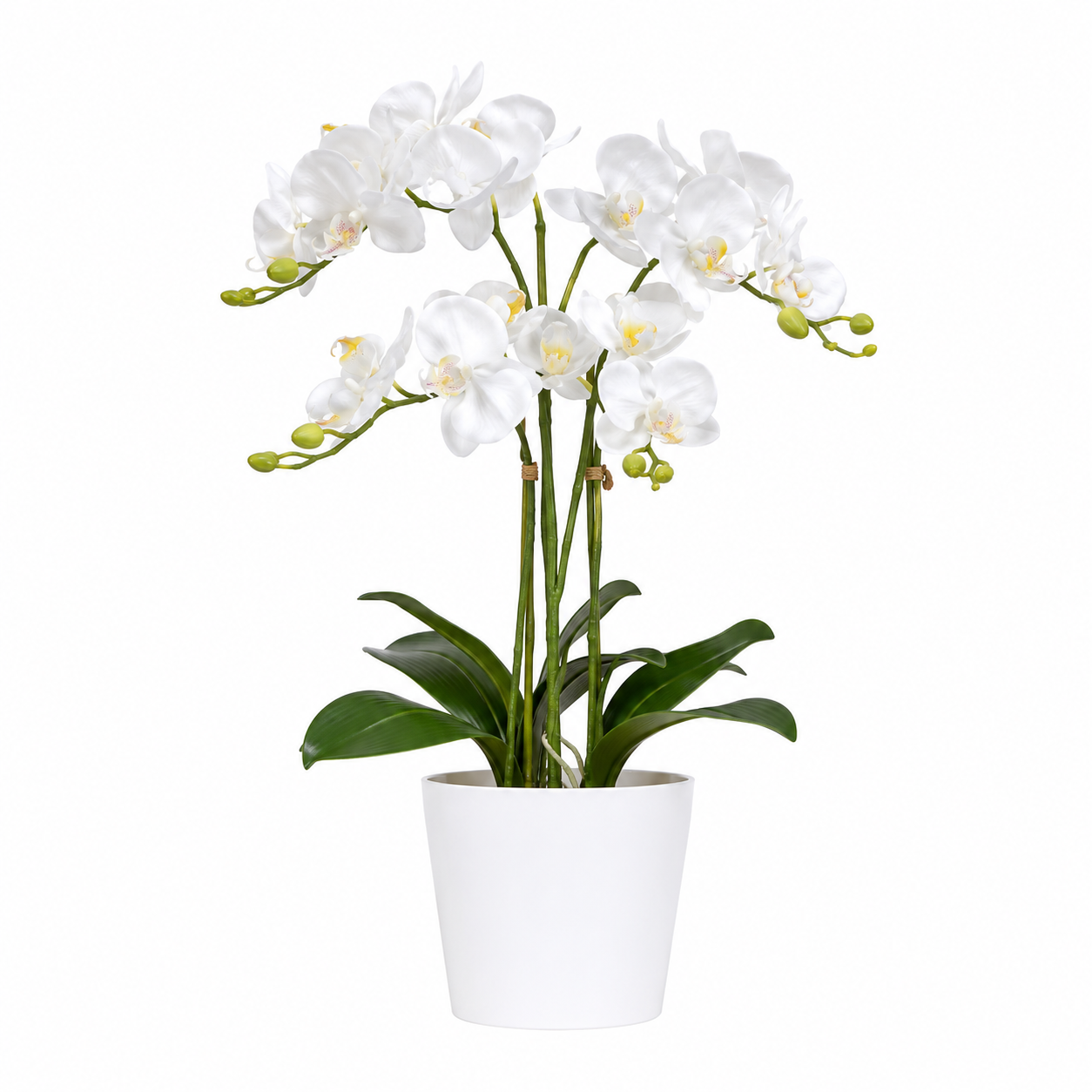 Lastingart Artificial White Orchid Plant in White Pot