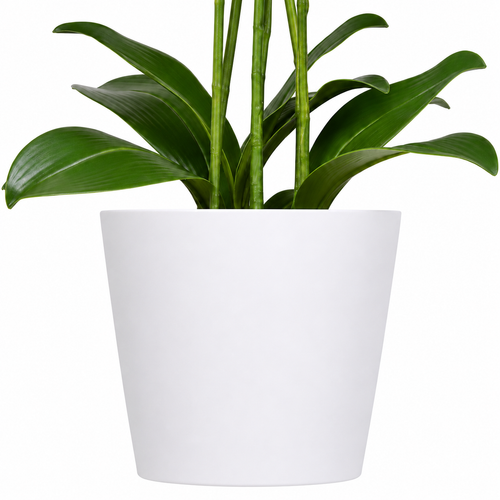Lastingart Artificial White Orchid Plant in White Pot
