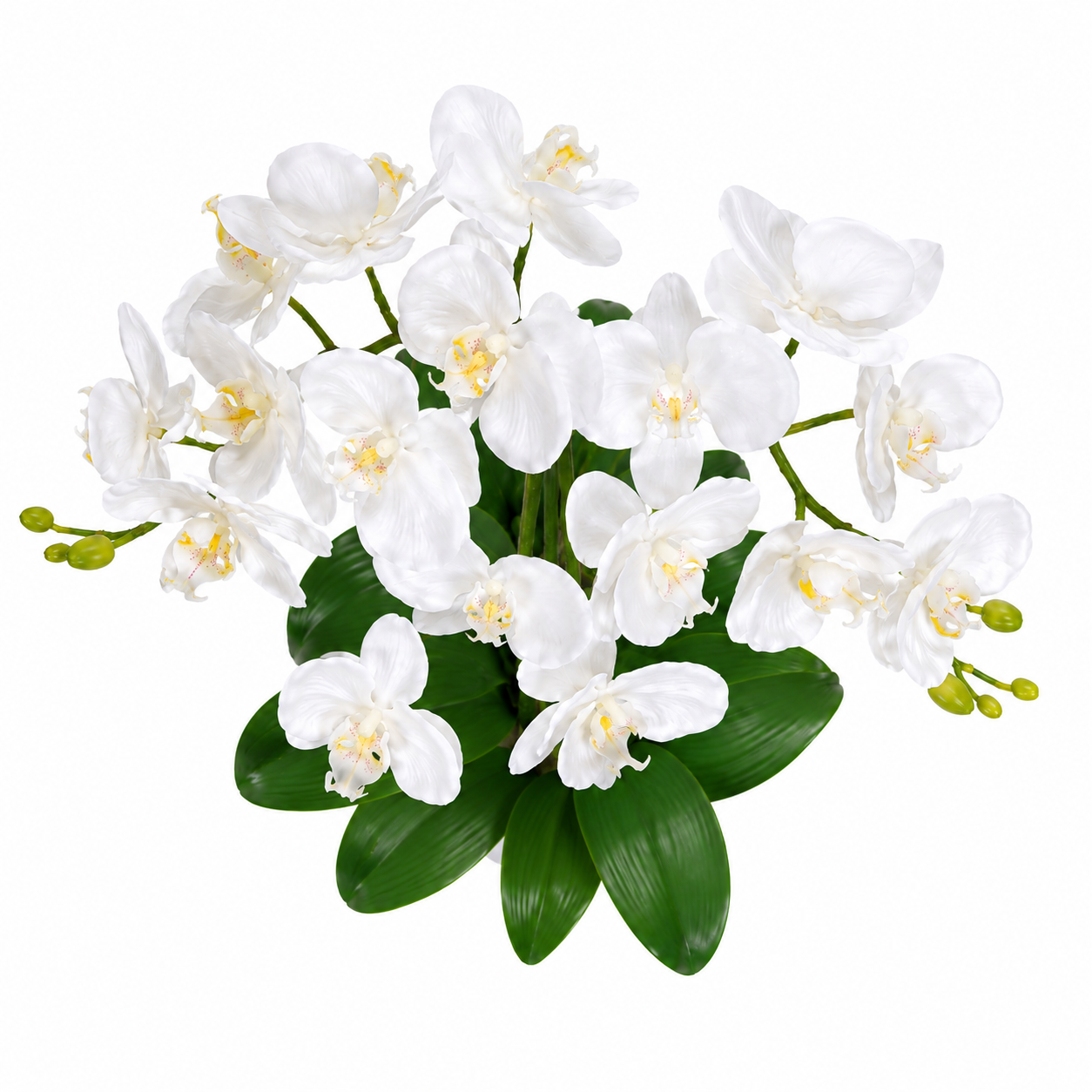 Lastingart Artificial White Orchid Plant in White Pot