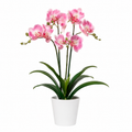 Lastingart Pink Artificial Orchid Plant in White Pot
