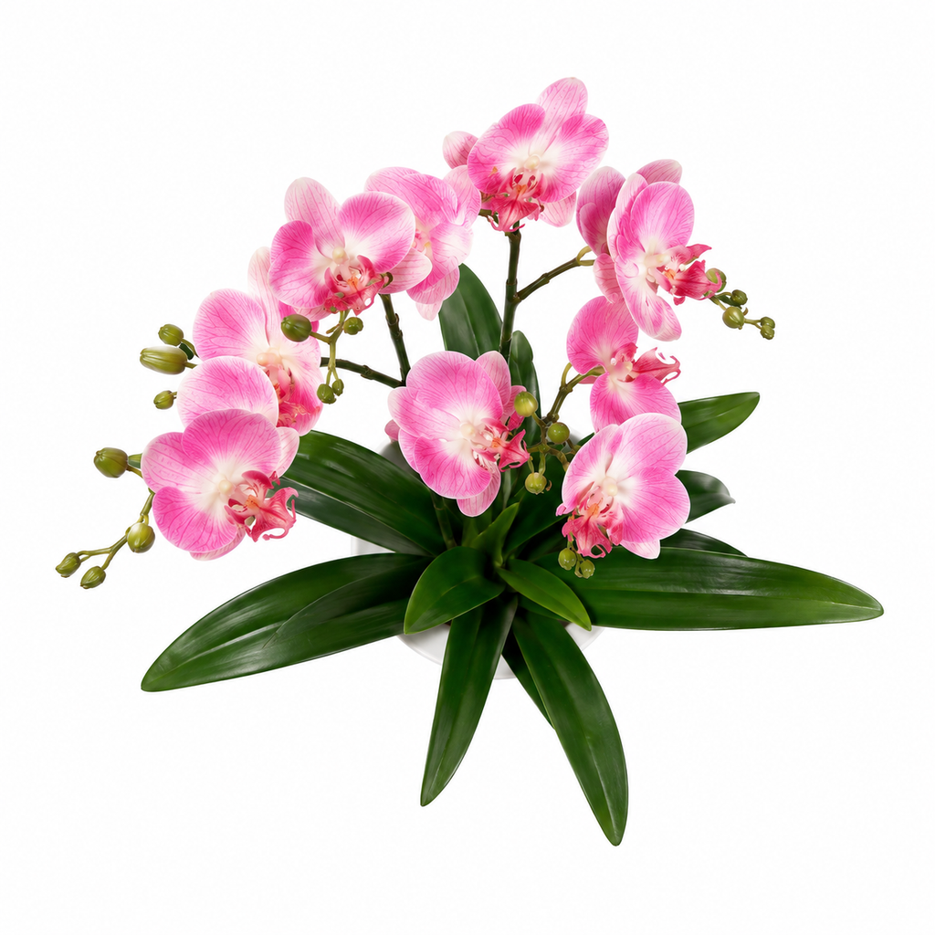 Lastingart Pink Artificial Orchid Plant in White Pot