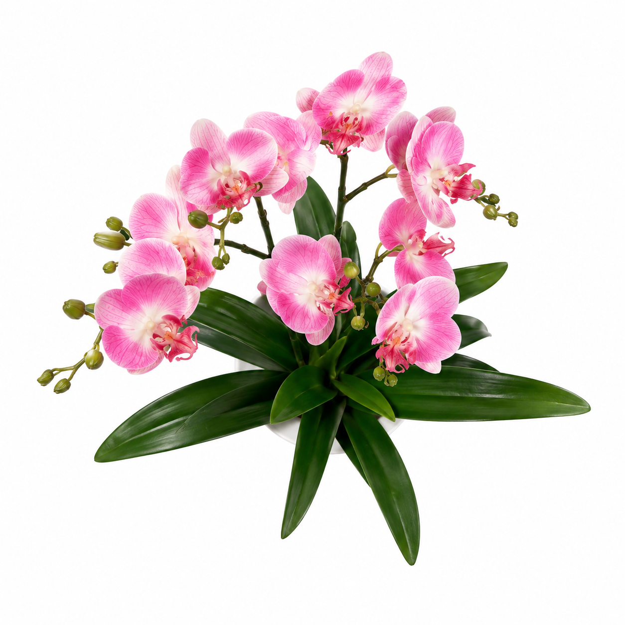 Lastingart Pink Artificial Orchid Plant in White Pot